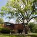 830 Avon is known as the "Crane House" and is Ann Arbor architect Bob Metcalf's first commission. The home will be a part of the Ann Arbor City Club 61st annual home tour on Sunday, June, 2, 2013. Melanie Maxwell | AnnArbor.com